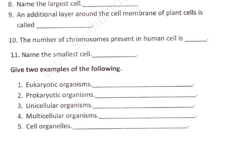 CBSE Class 8 Science Cell Structure and Functions Assignment Set A